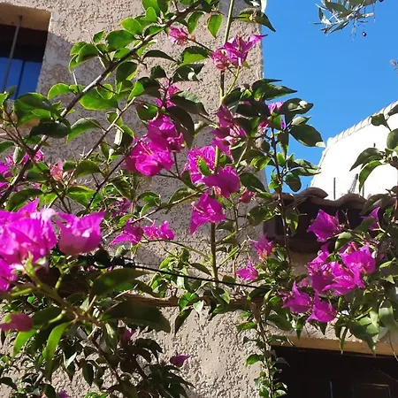 U Mirante, Panoramic Terrace Over Gulf Sunset