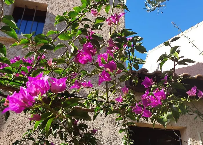 U Mirante, Panoramic Terrace Over Gulf Sunset